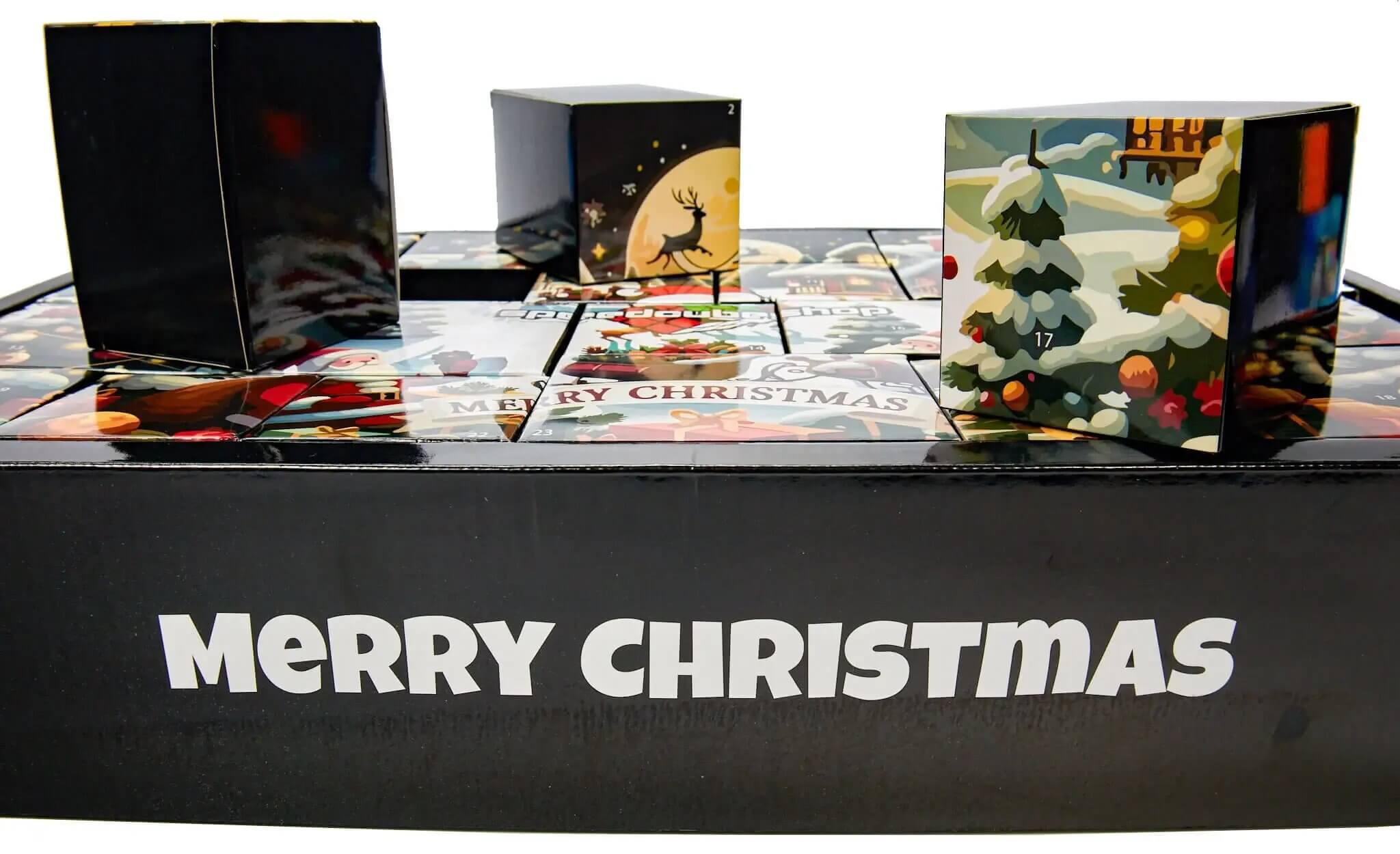 speedcubeshop-2024-advent-twisty-puzzle-calendar-9.webp