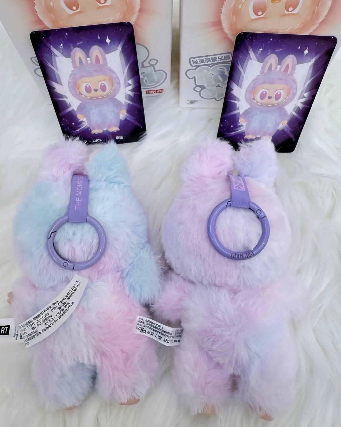 Old keychain without PPMT logo vs. new keychain with logo