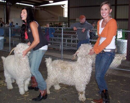 250136_10150260694771015_661206014_9076242_3902883_n-copy