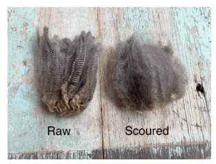 raw vs scoured fleece