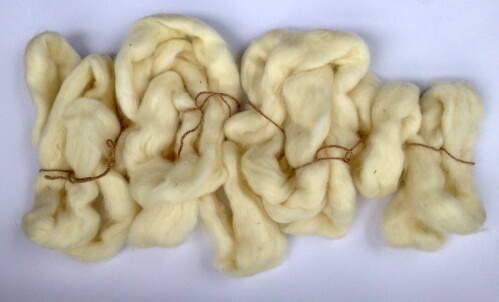 Spinning Fiber, Ready to Dye in Long Color Repeats!