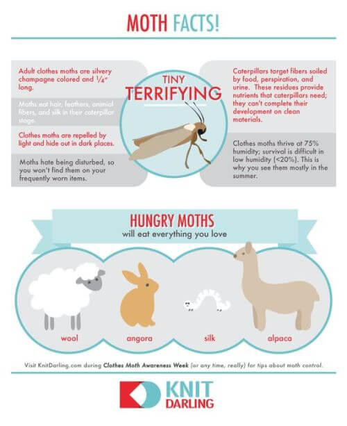 All About Moths - Via KnitDarling.com