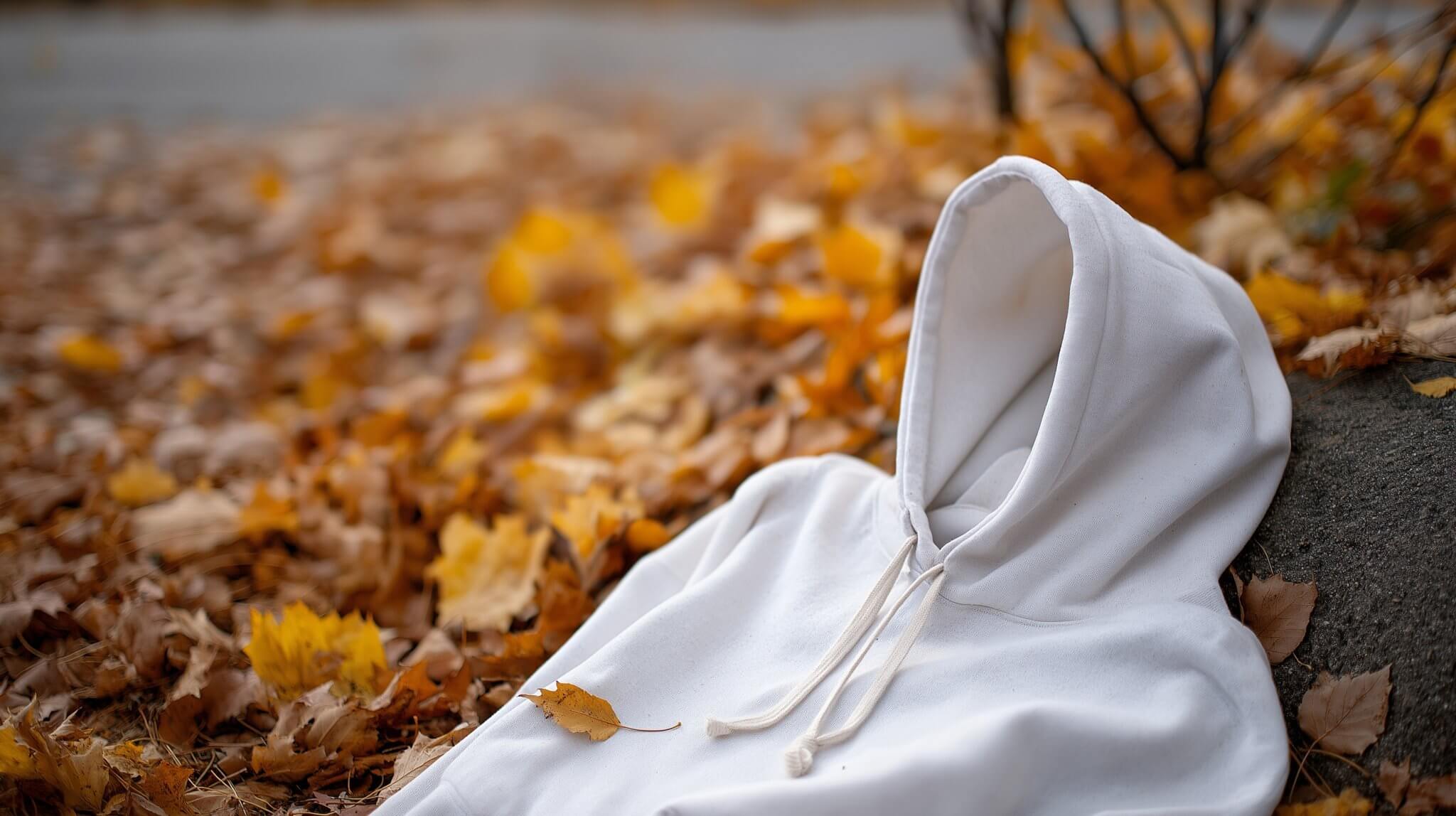 White sustainable hoodie from EcoBear Wear, one of the best slow fashion brands in Canada