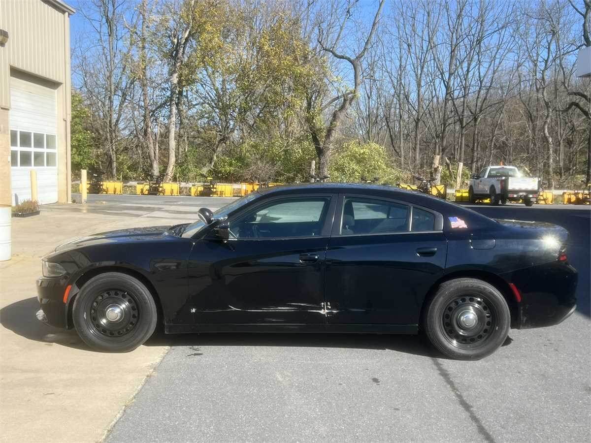 2019 model year Dodge Charger Pursuit for sale on Municibid.