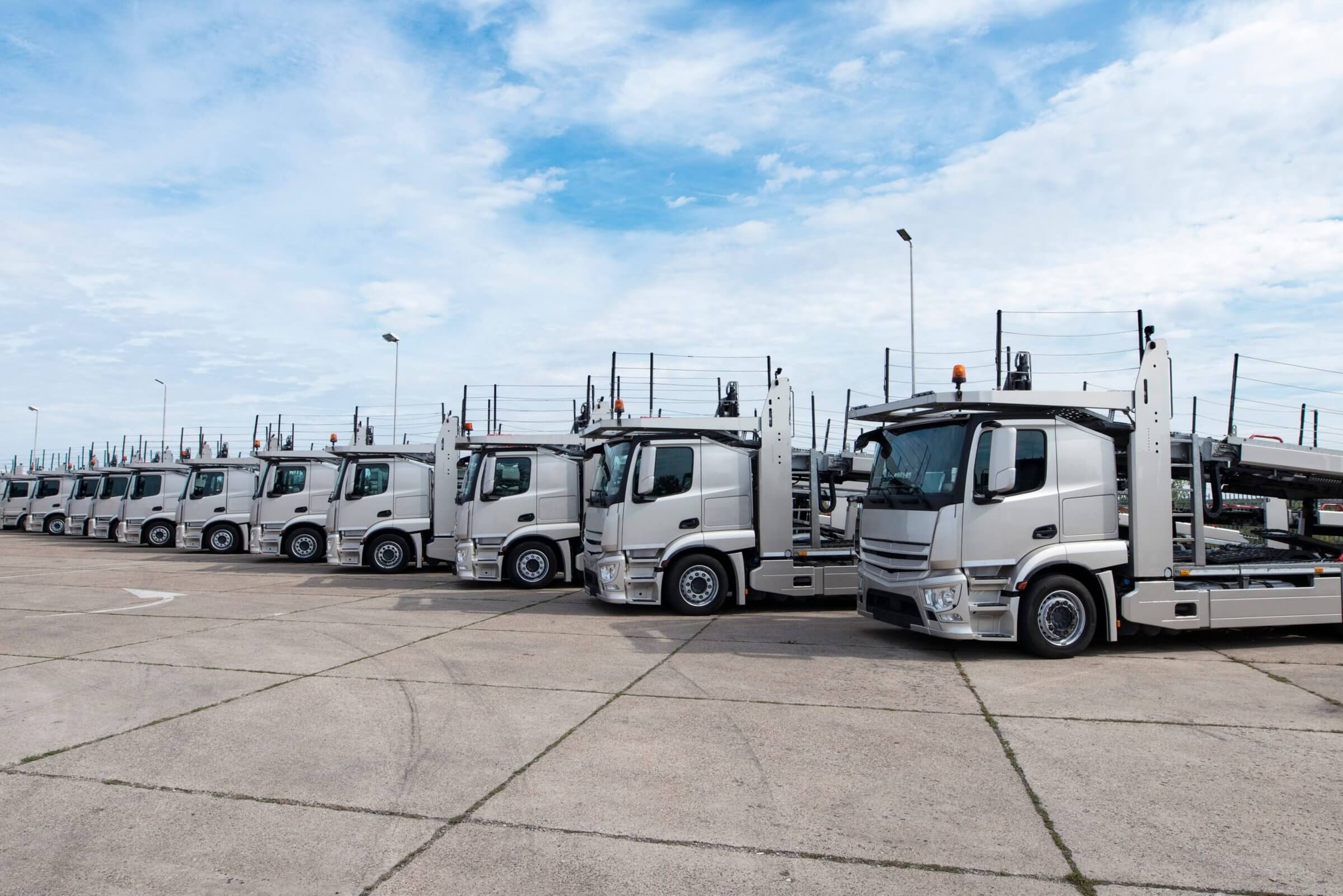 Group of transport trucks parked side by side.