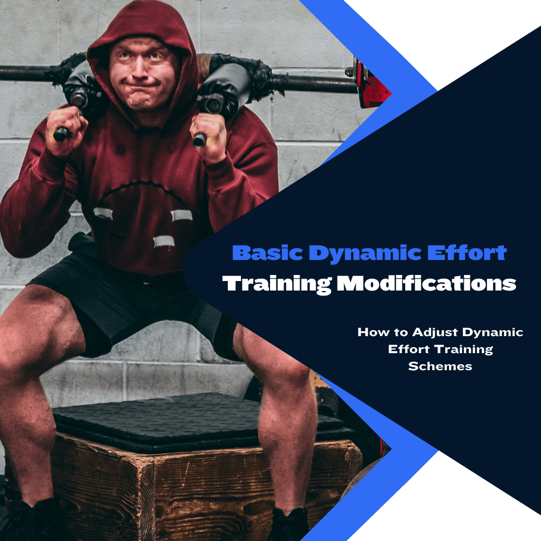 Dynamic Precision Training Basic Dynamic Effort Training Modifications