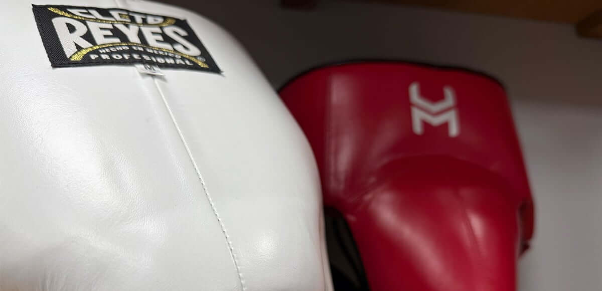Best Boxing Groin Guards: Ranked for Sparring, Training & Competition