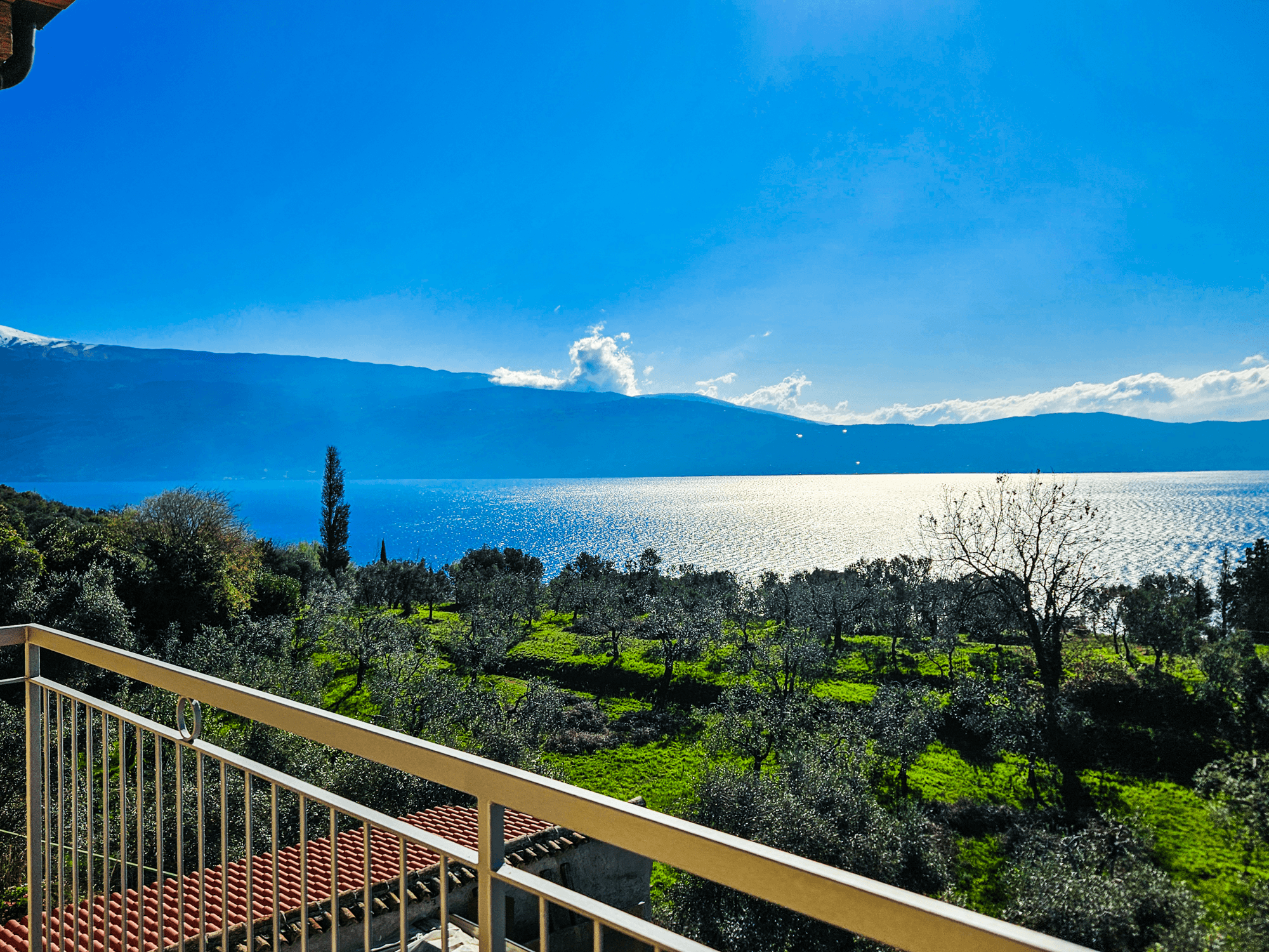 Lago di Garda, ulivi e prato visti dal balcone di Altavista