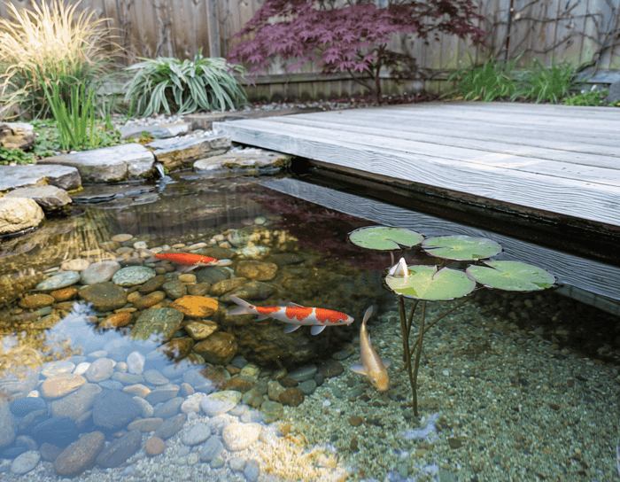 https://dropinblog.net/cdn-cgi/image/fit%3Dscale-down%2Cformat%3Dauto%2Cwidth%3D700/34263502/files/featured/crystal-clear-pond-water.png