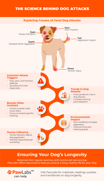 https://dropinblog.net/cdn-cgi/image/fit%3Dscale-down%2Cwidth%3D700/34257196/files/attack/infographic-i-dogattacks-v1-720.png