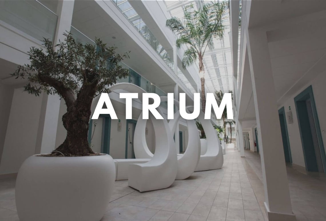 Atrium London Vibes? Here's How to Get It Indoors.
