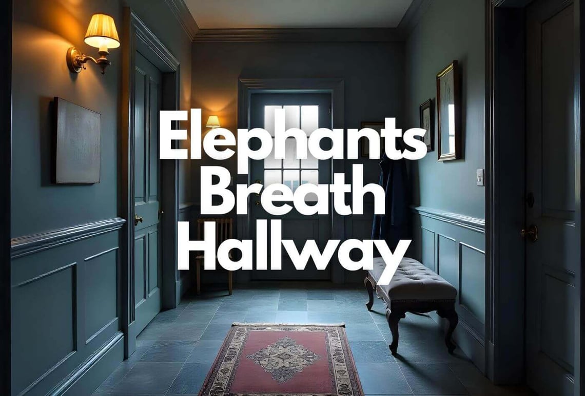 Using Stones For Elephants Breath Hallway Decor