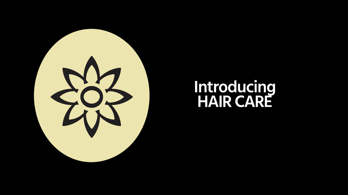 Introducing Hair Care