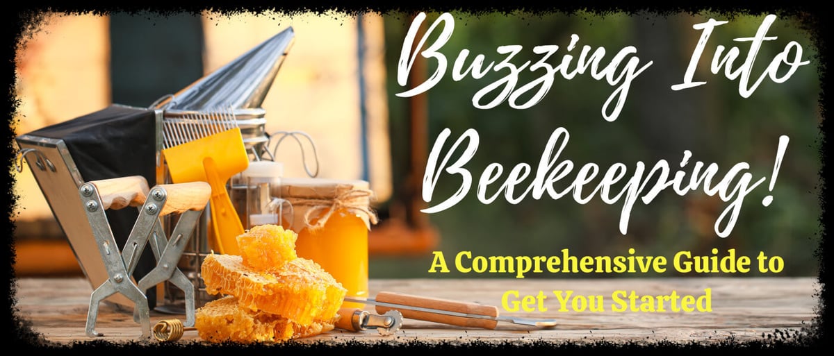 Beginner beekeeping guide showing beekeeping and honey bee hive management