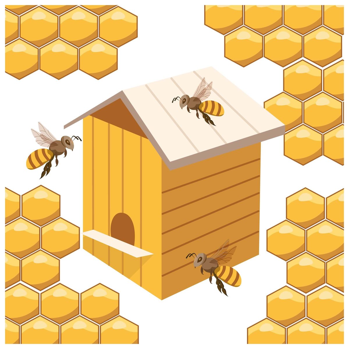 Wooden honey bee hive positioned outdoors for a managed colony