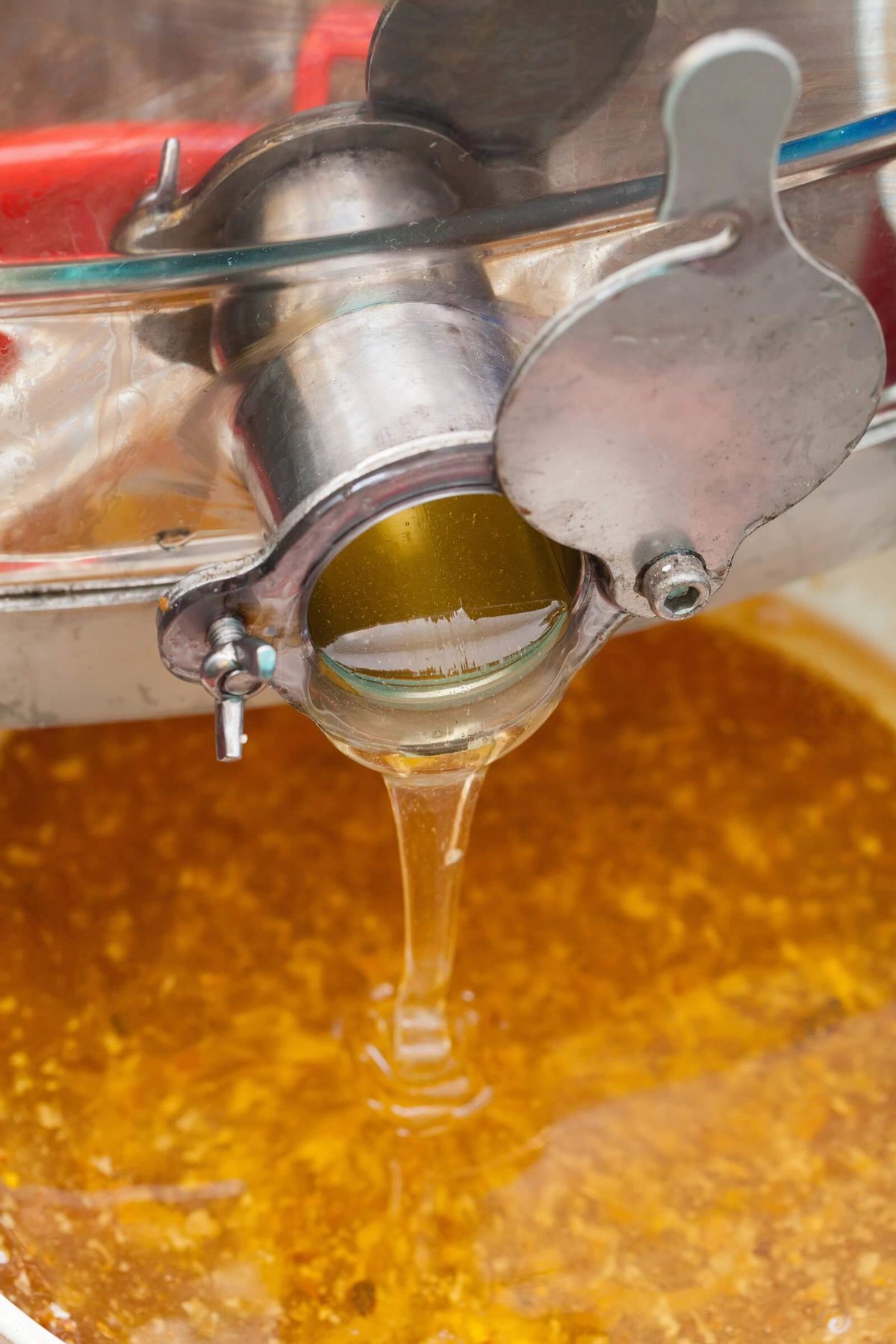 Filtering extracted honey through a honey strainer