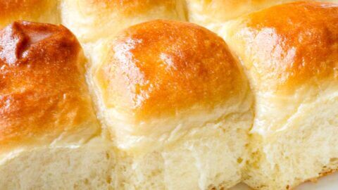 Freshly baked honey hot rolls in a baking pan