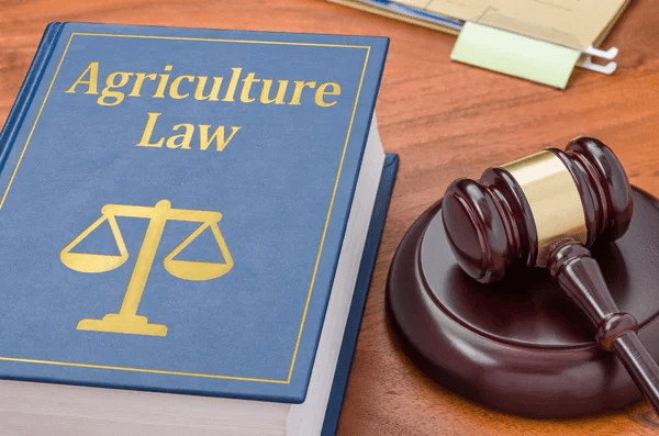 Beekeeping regulations and ordinances guide for aspiring beekeepers