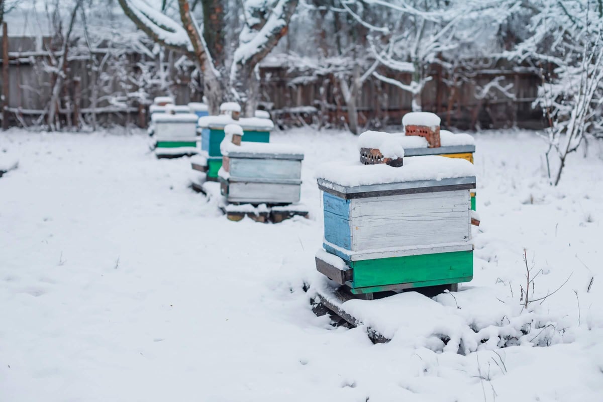 Beekeeping equipment and hives prepared for cold weather
