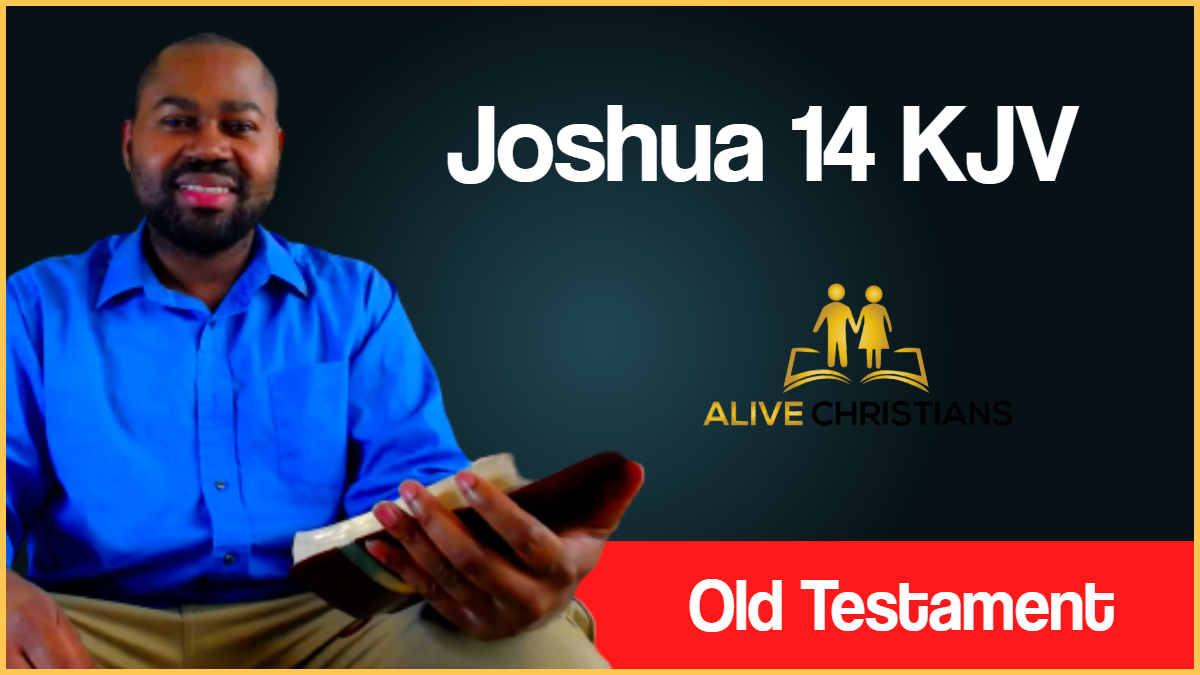 Joshua 14 (KJV) - And these are the countries which the children