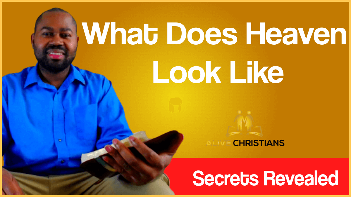 What Does Heaven Look Like? (The Definitive Guide)