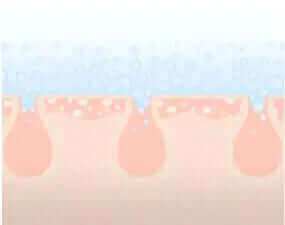 Do chemo-preventative benefits increase with high absorption resveratrol?