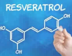 Resveratrol Guide – Part 1
