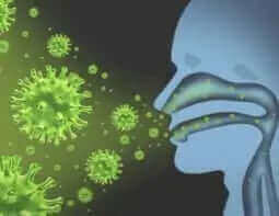 Resveratrol discussion on Infections and Virus