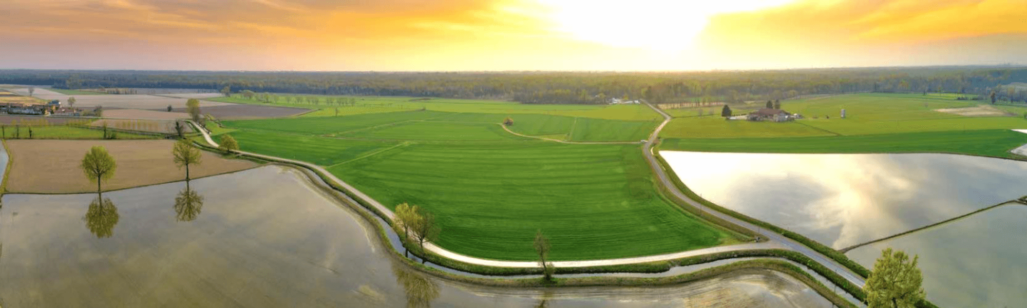 Weathering the storm of climate change