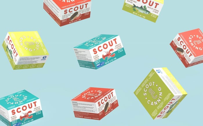 Soft Launch Announcement From The Scout Team