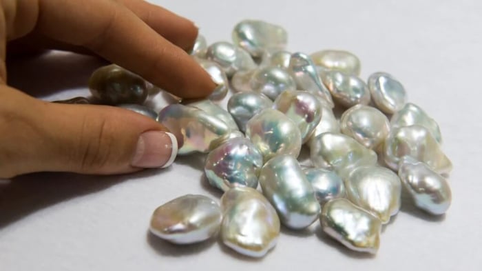 Metallic Freshwater Pearls