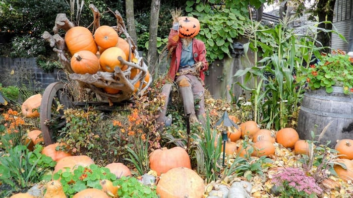 How to Have an Eco-Friendly and Safe Halloween in 2020