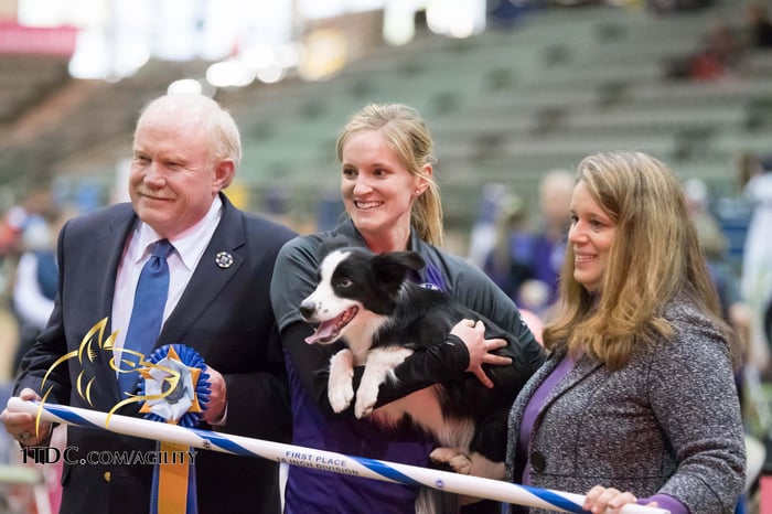 Interview with AKC National Agility Winner Jennifer Crank