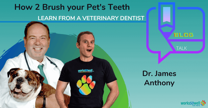 How to brush your Dog's teeth?