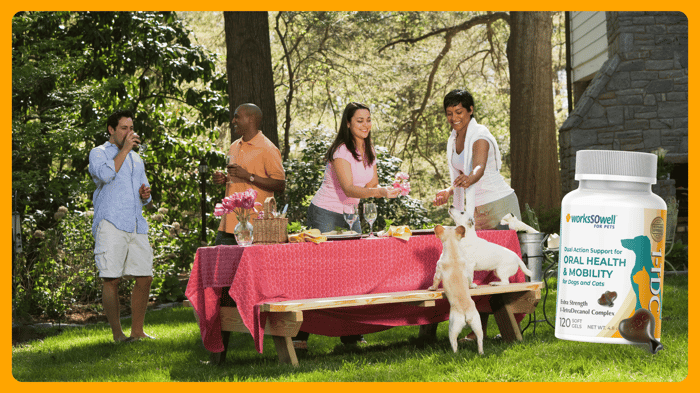 Grilling Season Dangers Most Pet Owners Don't Think About