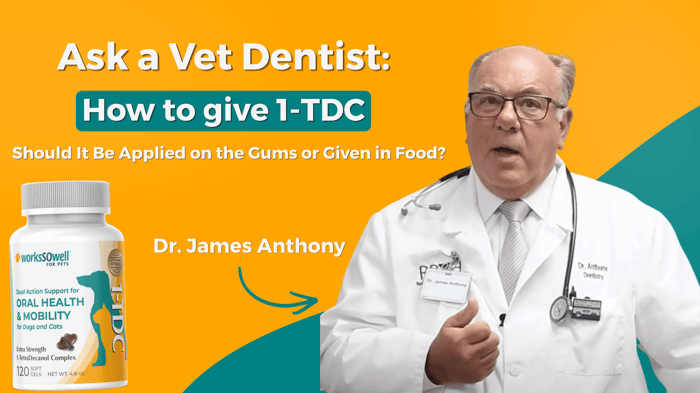 Ask a Vet Dentist: Should 1-TDC Be Applied on the Gums or Given in Food?