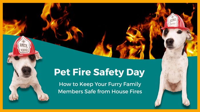 Pet Fire Safety Day: Keep Your Furry Family Safe from Fires