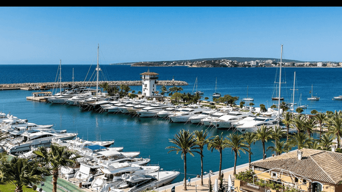 Focus on Puerto Portals - Famous Marina Mallorca