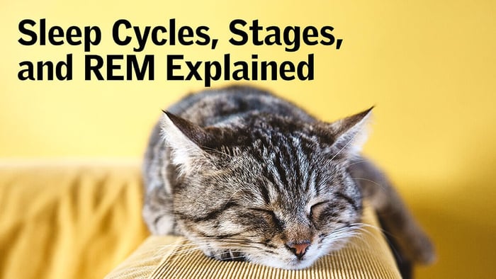 Sleep Cycles, Stages, and REM Explained