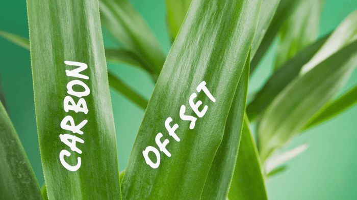 What is Carbon Offsetting?