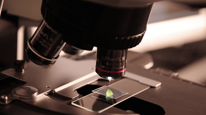 7 Ways Science Supports Quantum 3 Energy Technology