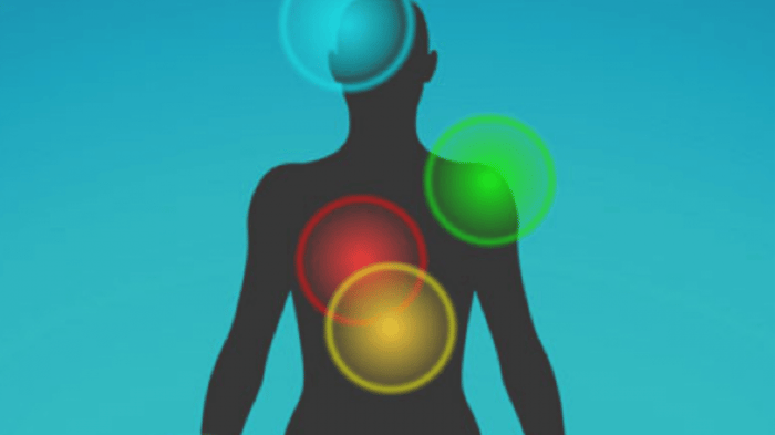 Did You Know About Your Hidden Nervous System?