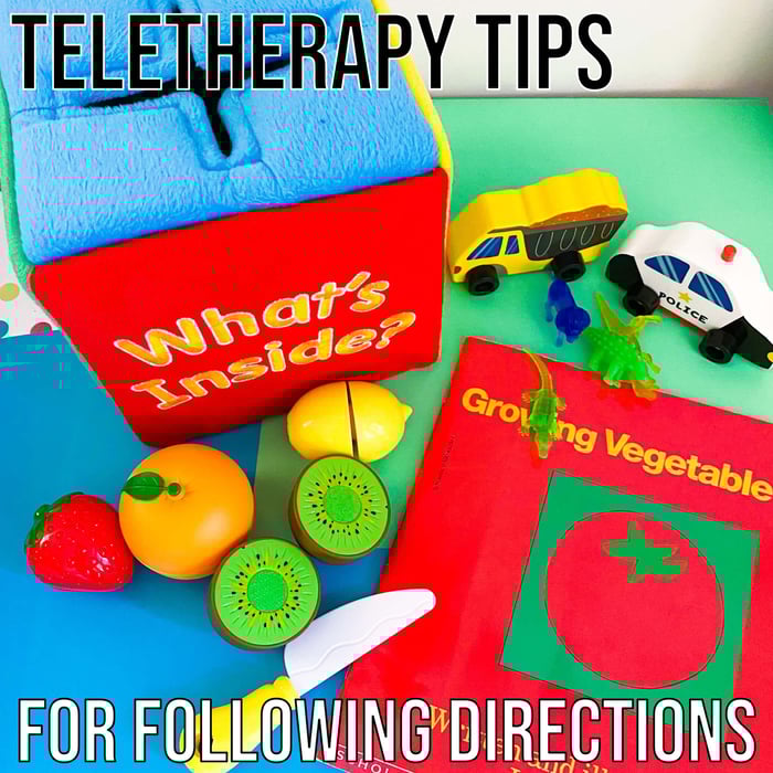 Following Directions in Teletherapy