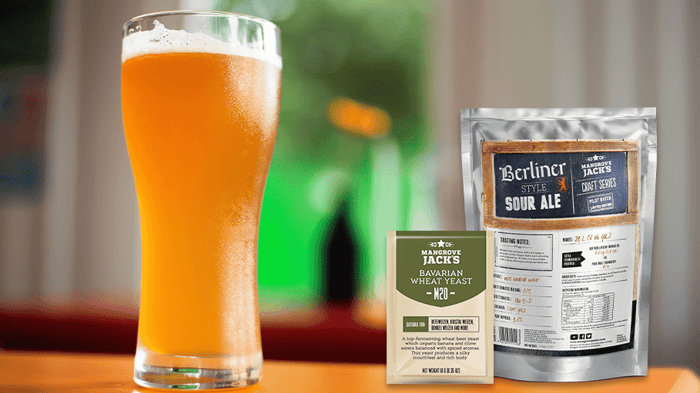 Recipe: Cranberry Berliner Sour Ale