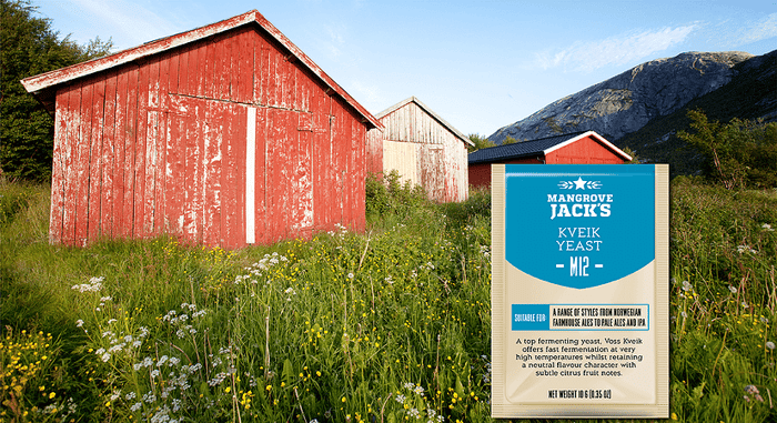 Kveik, the Hottest New Super-Yeast