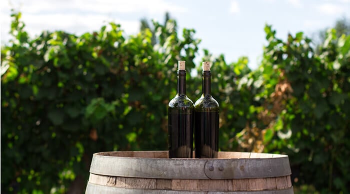 Is Wine Good for You? Benefits and Precautions