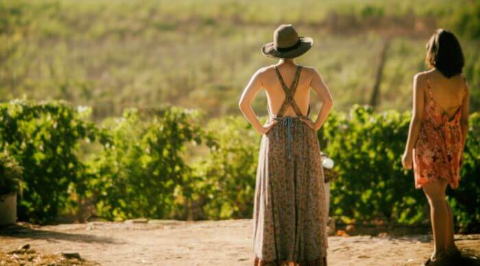 Beginner’s Guide to Wine: What to Drink + How to Drink It