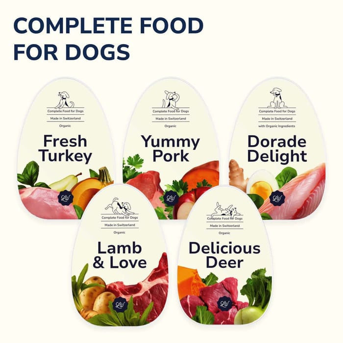 Introducing LOONAWELL's Organic Dog Food: A Culinary Journey for Dog Wellness