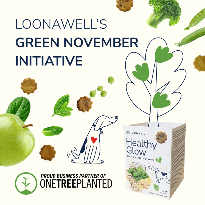 LOONAWELL’s Green November Initiative