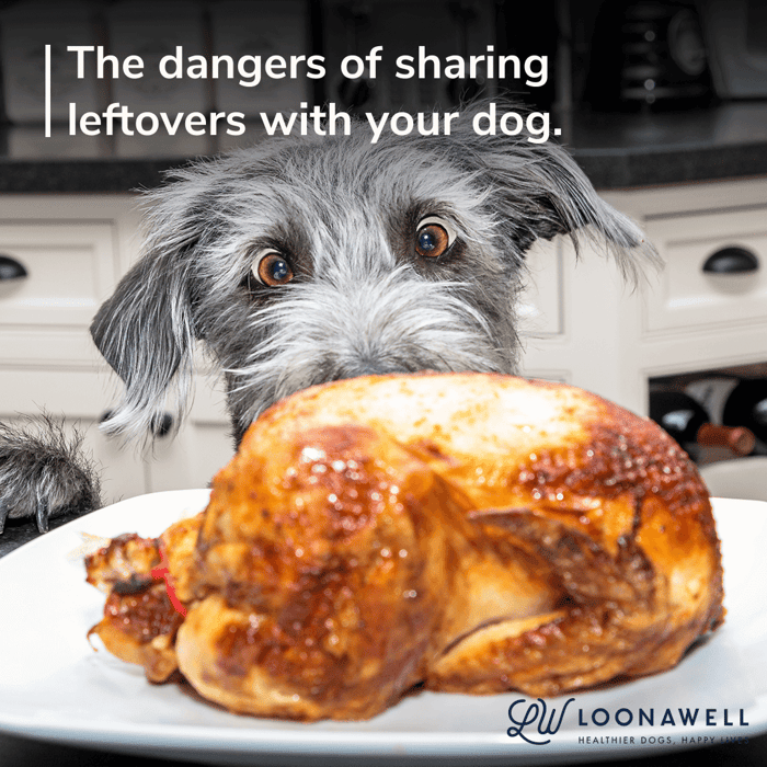 The dangers of sharing leftovers with your dog